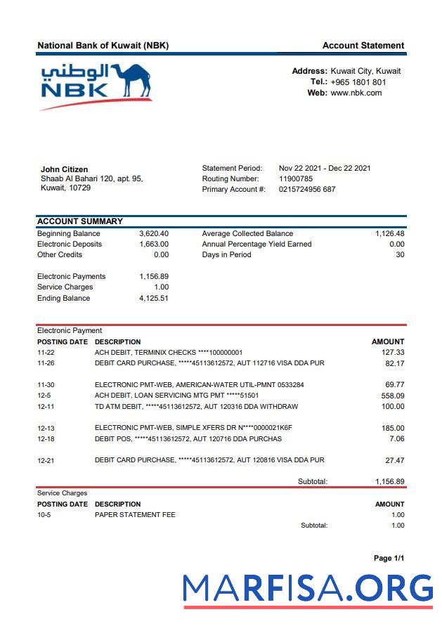Realistic Kuwait National Bank of Kuwait NBK bank statement word real example